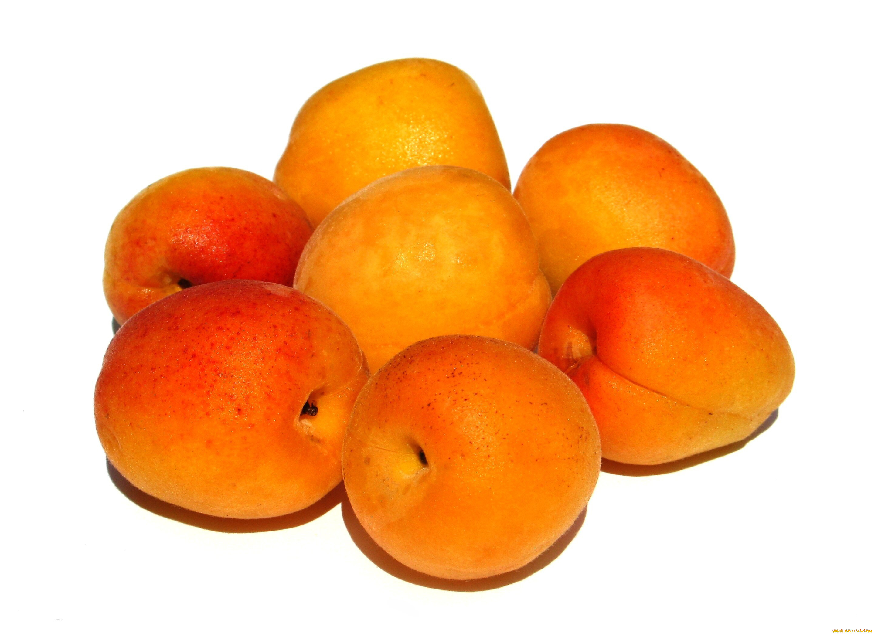 , , , , 